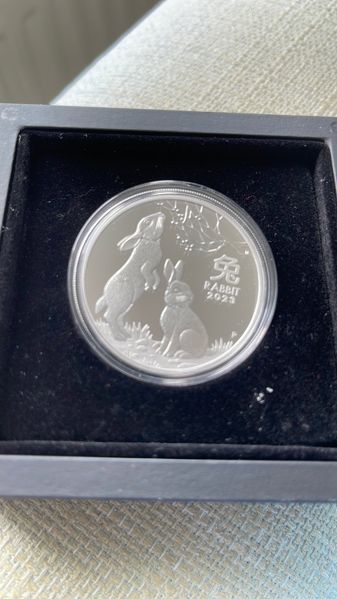 Lunar 3 / Year of the Rabbit 2023 / 1 oz Proof, Ophalen of Verzenden, Losse munt, Zilver