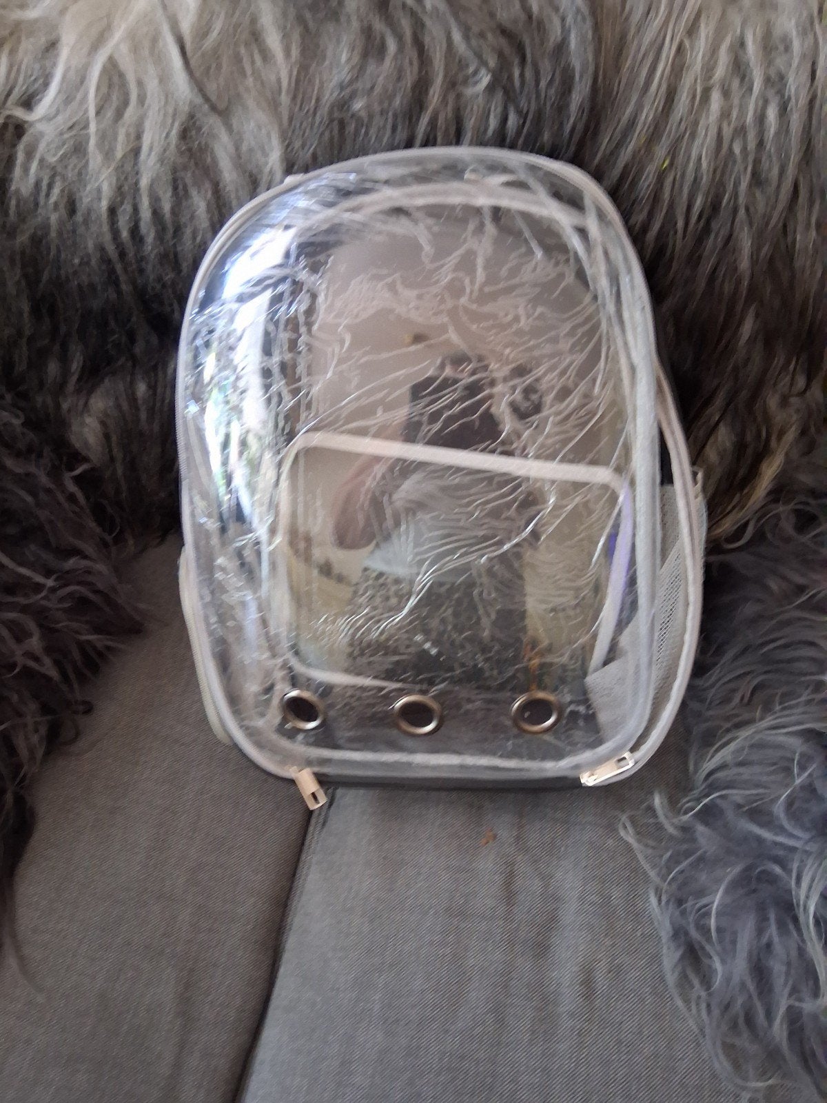 Katten rugdraag tas, Dieren en Toebehoren, Katten-accessoires, Ophalen of Verzenden, Nieuw