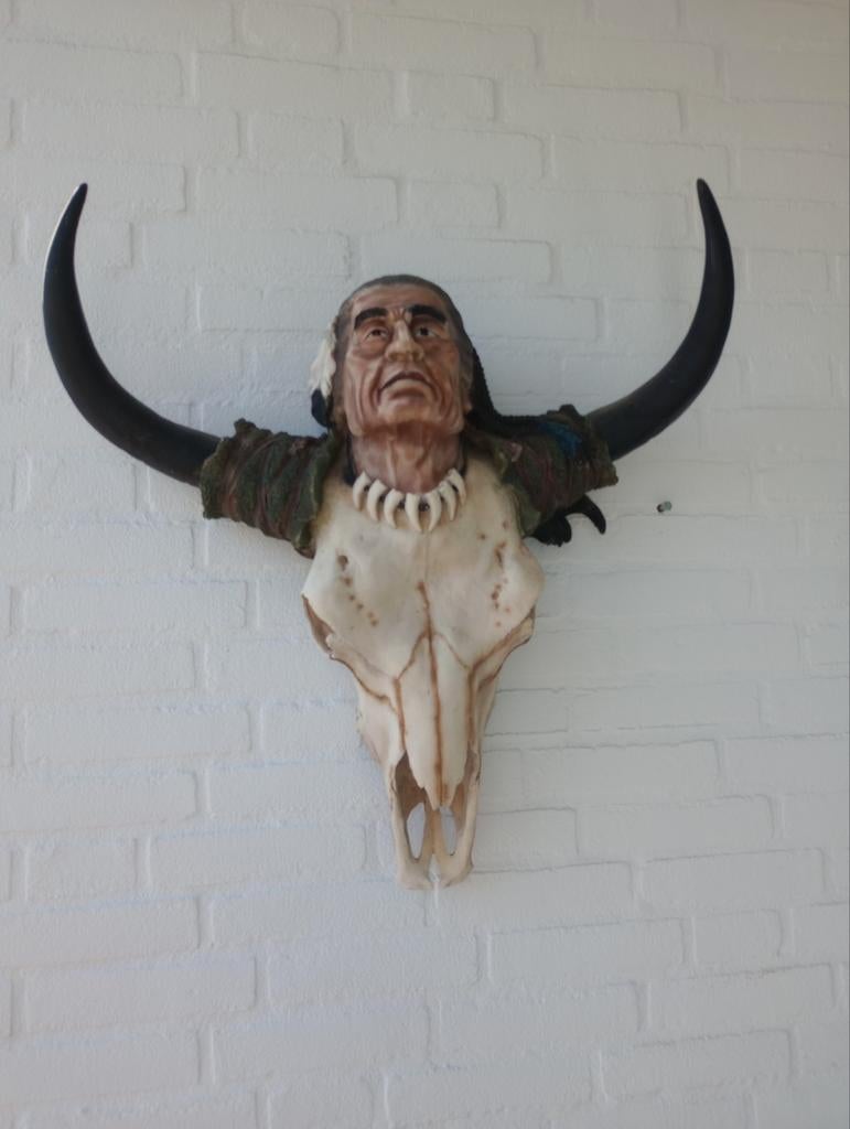 Indianen hooft koeien kop, Ophalen, Gebruikt, Fantasy