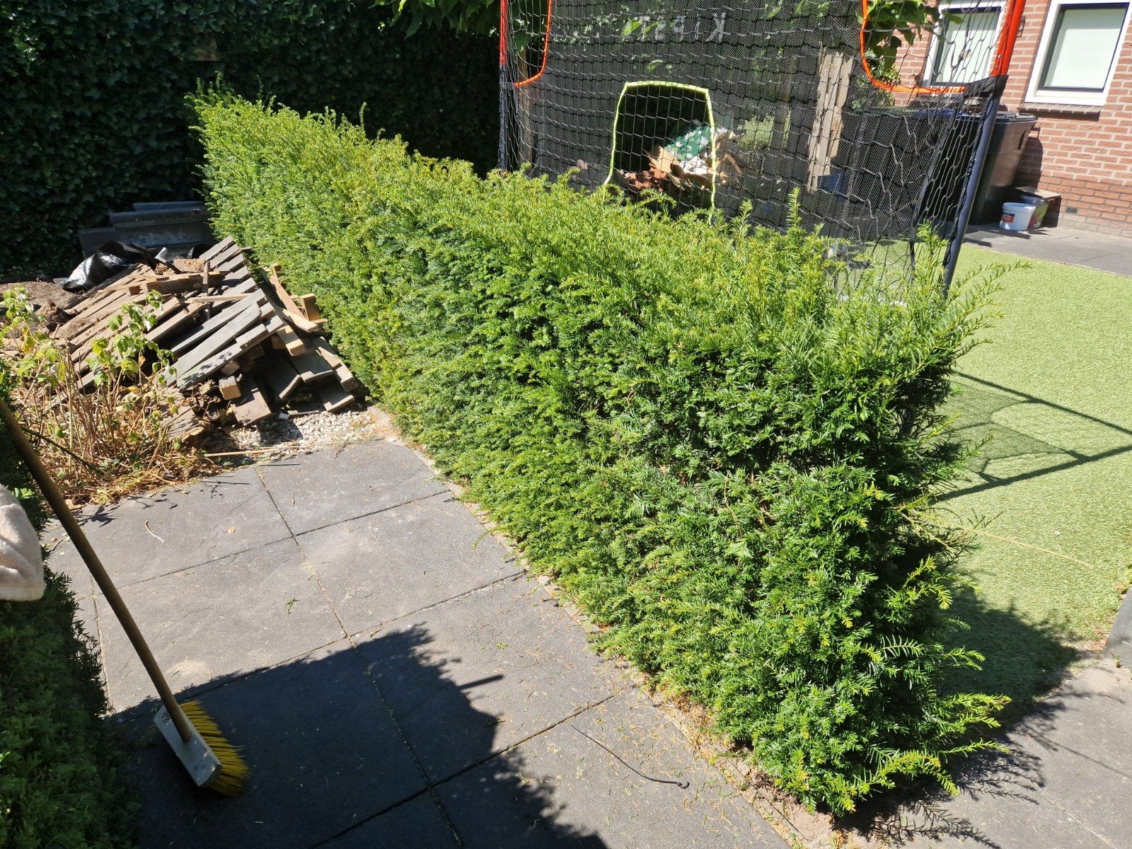 Taxushaag 4m lang, 1.1m hoog, Tuin en Terras, Planten | Struiken en Hagen, Ophalen, Taxus, Haag, 100 tot 250 cm