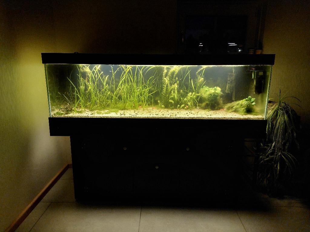 Aquarium te koop, 500L, Ophalen, Zo goed als nieuw, Leeg aquarium, Overige merken