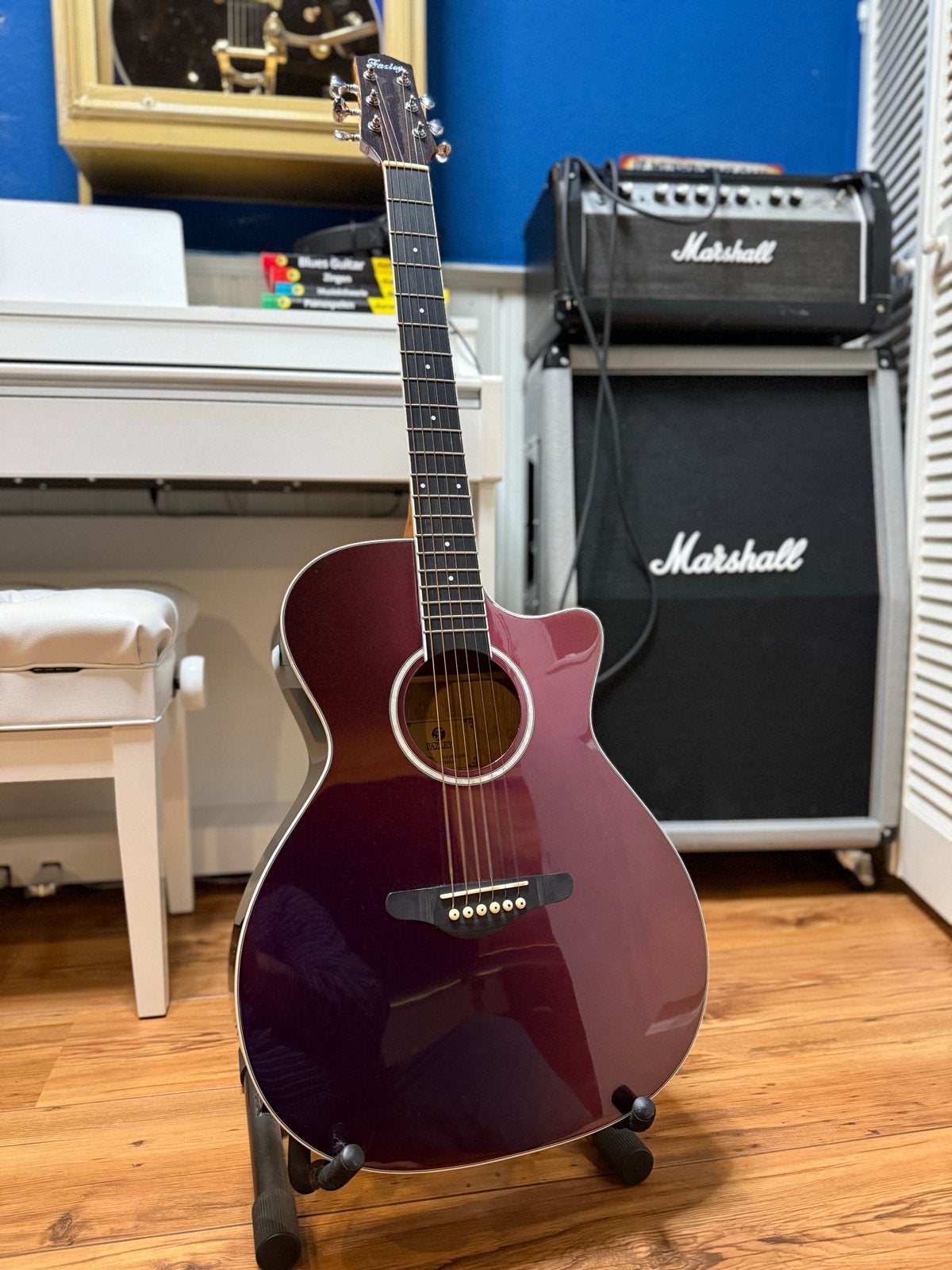 Fazley W110 Colourtune akoestische gitaar, Ophalen, Zo goed als nieuw, Western- of Steelstringgitaar