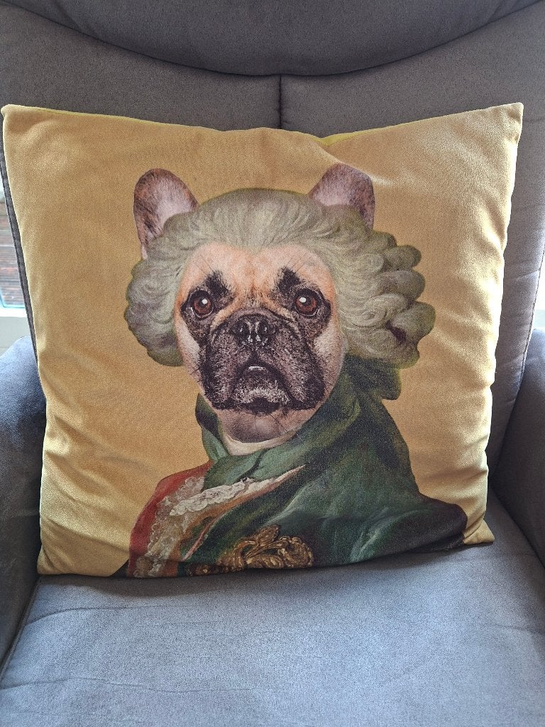Sierkussenhoezen Franse Bulldog, Ophalen, Overige merken, Zo goed als nieuw, Wasbaar