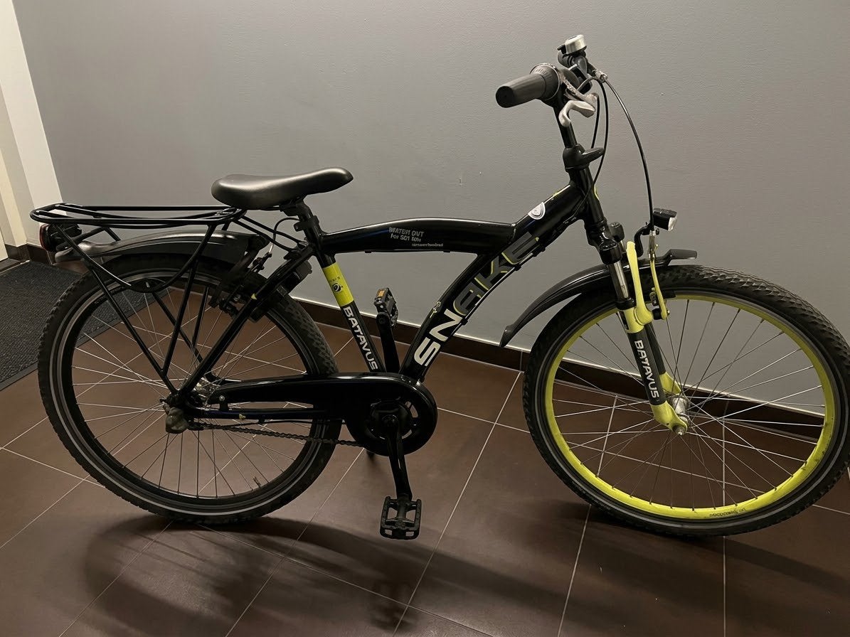 Batavus snake 26 inch, Ophalen, Gebruikt, 26 inch of meer, Versnellingen