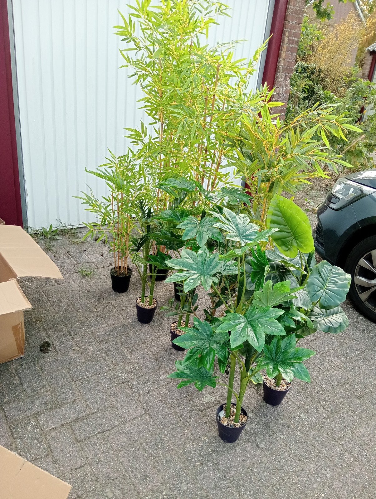 Diverse kunstplanten: Bamboe en Fatsia, Huis en Inrichting, Ophalen, Halfschaduw, Minder dan 100 cm
