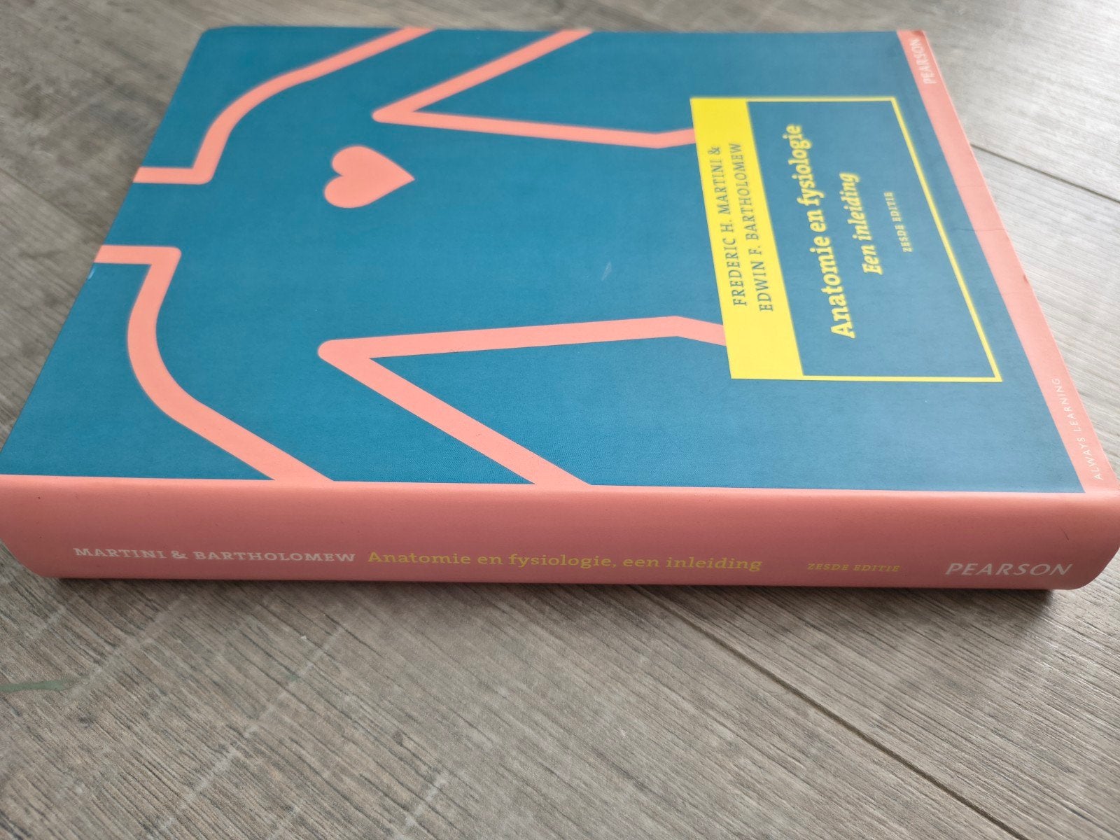 Anatomie en Fysiologie: Een Inleiding (Zesde Editie), Boeken, Studieboeken en Cursussen, Zo goed als nieuw, Frederic H. Martini & Edwin F. Bartholomew