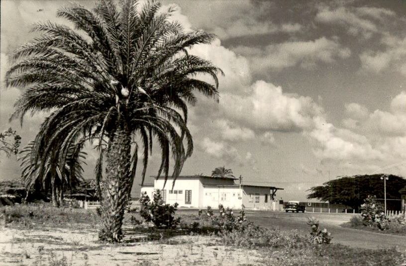 Aruba - Palm Beach - 1950, Verzamelen, Verzenden, 1940 tot 1960, Gelopen, Noord-Holland