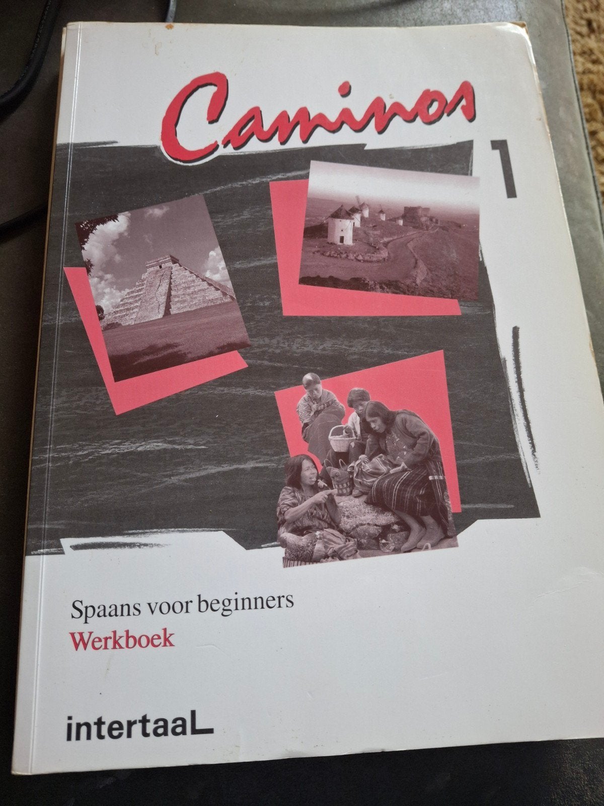 Camino's 1 Werkboek Spaans voor beginners Intertaal, Ophalen of Verzenden, Gelezen, Onbekend, Non-fictie