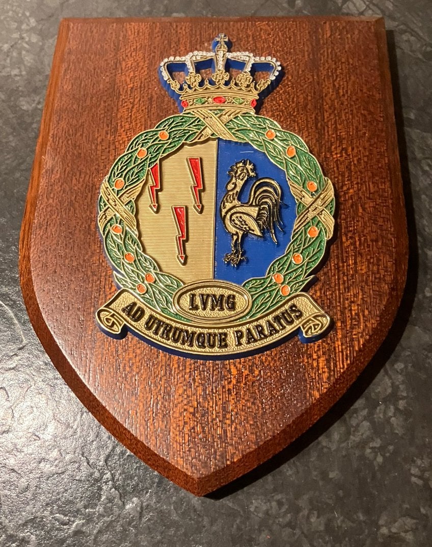 Wapenschild koninklijke Luchtmacht LVMG, Verzamelen, Ophalen of Verzenden, Luchtmacht, Nederland