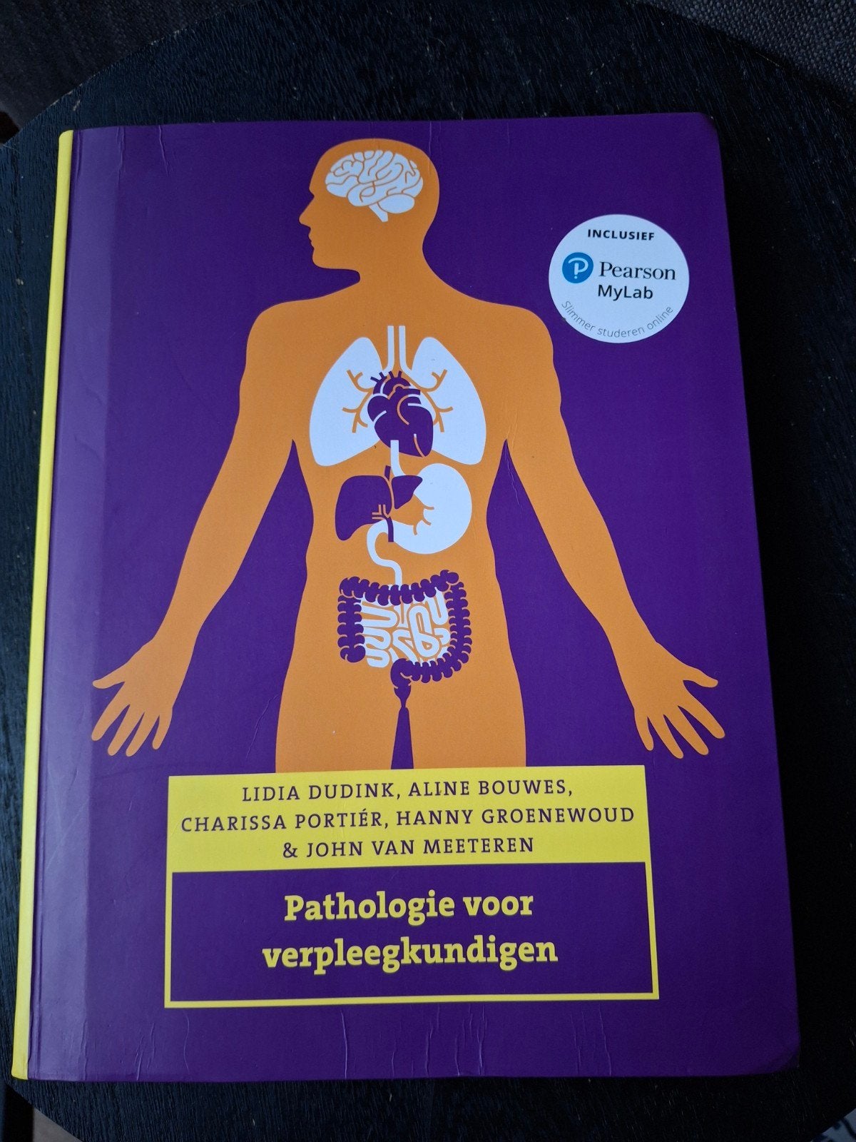 Lidia Dudink - Pathologie voor verpleegkundigen, Lidia Dudink; Aline Bouwes; Hanny Groenewoud; John van Meeter..., Ophalen of Verzenden