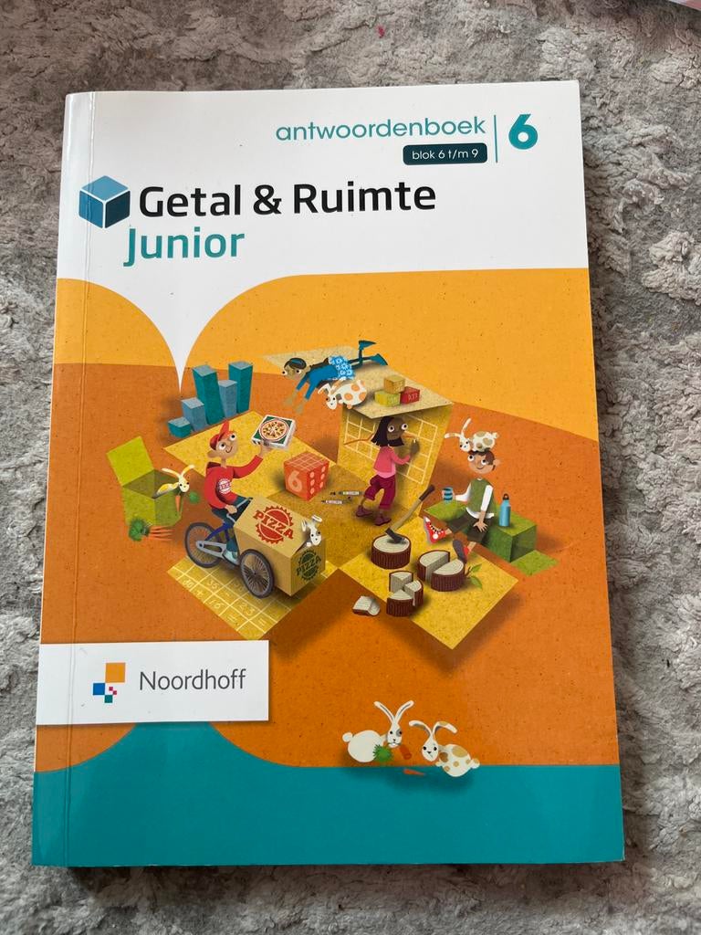 Antwoordenboek Getal & Ruimte Junior blok 6 t/m 9, Ophalen of Verzenden, Beta, Zo goed als nieuw, Overige niveaus