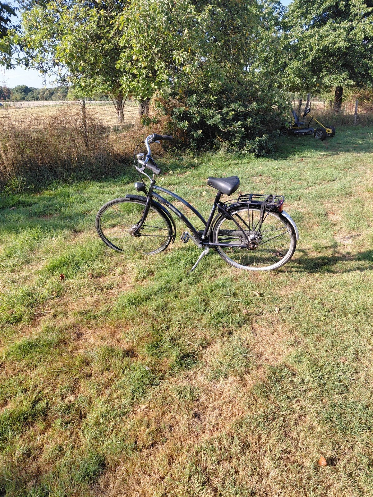 meisjesfiets gazelle met lage instap en versnellingen, Gebruikt, Versnellingen, 50 tot 53 cm, Ophalen