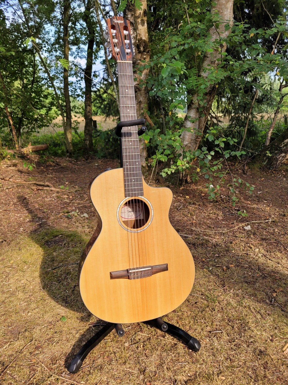 Taylor 212ce-N Plus Nylon gitaar - bon + garantie, Ophalen, Zo goed als nieuw, Klassieke of Spaanse gitaar, Met (piezo-)element