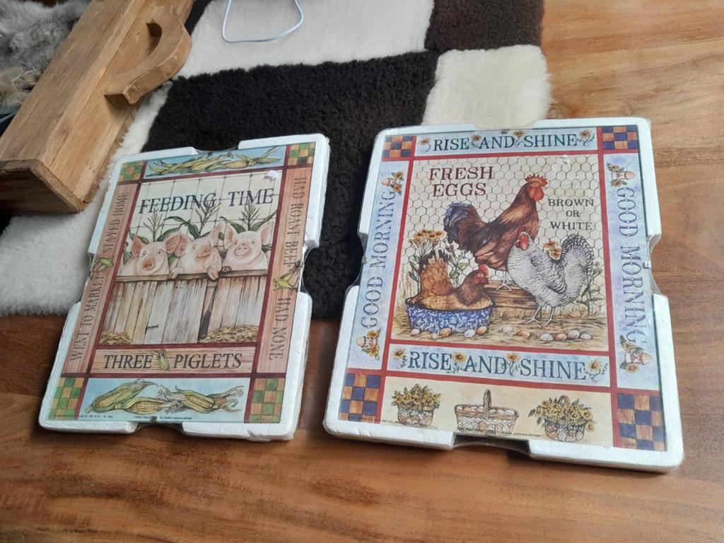 2 schilderijtjes, Huis en Inrichting, Ophalen of Verzenden, Zo goed als nieuw