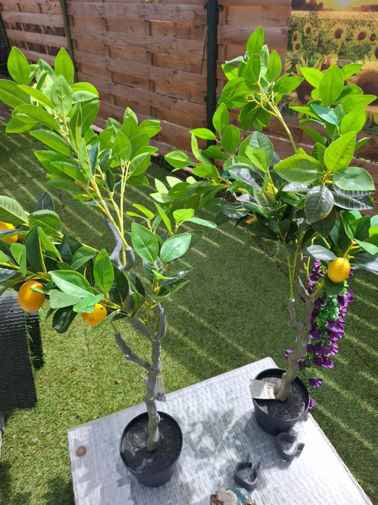 Kunstplanten: Citroenboompjes voor binnen en buiten, Ophalen, Groen, Onderhoudsvrij, Kunstplant