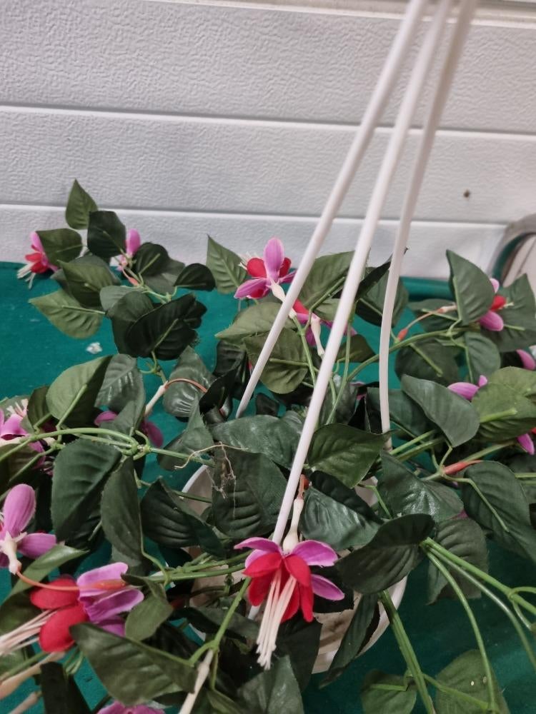 kunsthangplant fuchsia in witte pot, Ophalen of Verzenden, 'T Olde Gre-j, Info@toldegrej.nl, Endepoelstraat 20f Didam