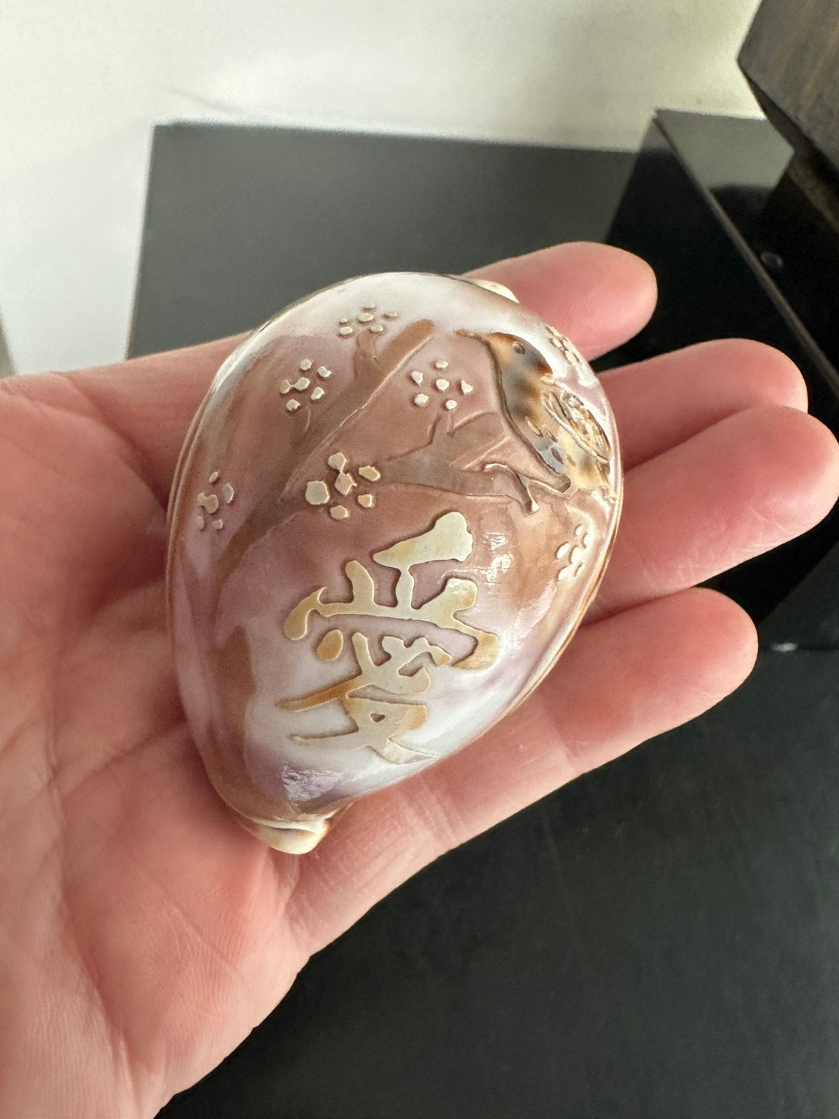 Tijger kuri kleine schelp met Chinees Liefde karakter 4/7cm, Ophalen of Verzenden, Gebruikt