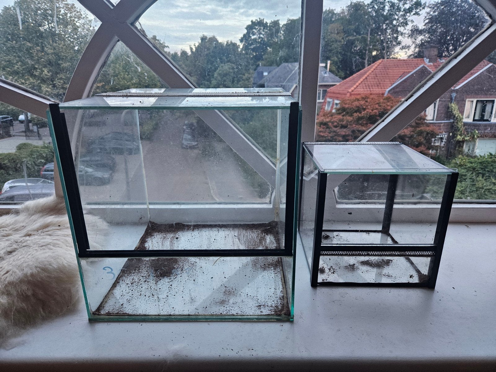 Glazen terrarium. Spinnen, reptielen, insecten, Ophalen, Zo goed als nieuw, Terrarium of Paludarium