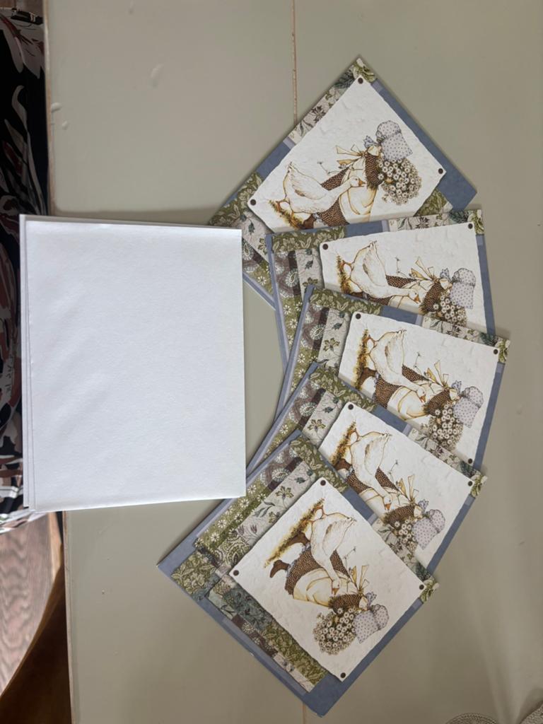 Holly Hobbie kaarten, 5 stuks. Prijs inclusief verzendkosten, Ophalen of Verzenden, Nieuw