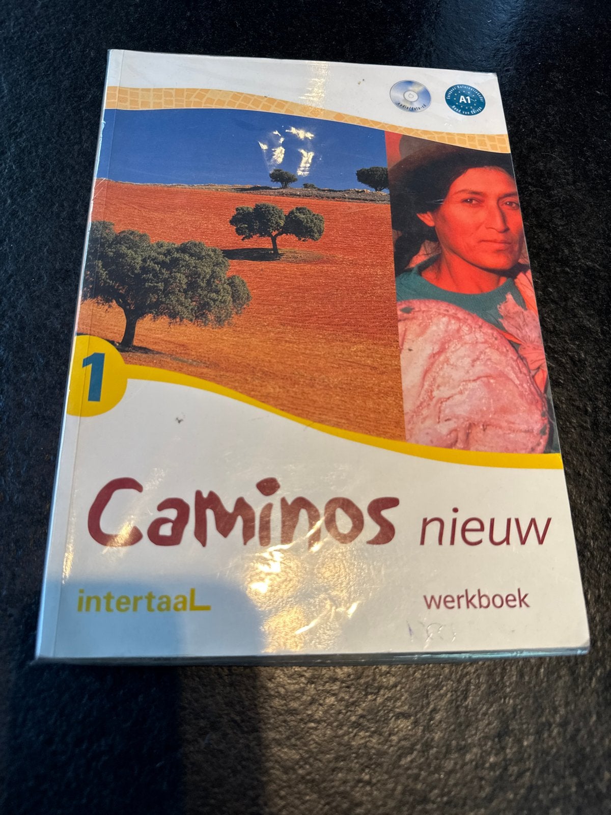 Camino's Nieuw 1 Werkboek - Spaans leren A1, Boeken, Ophalen of Verzenden, Nieuw, Non-fictie