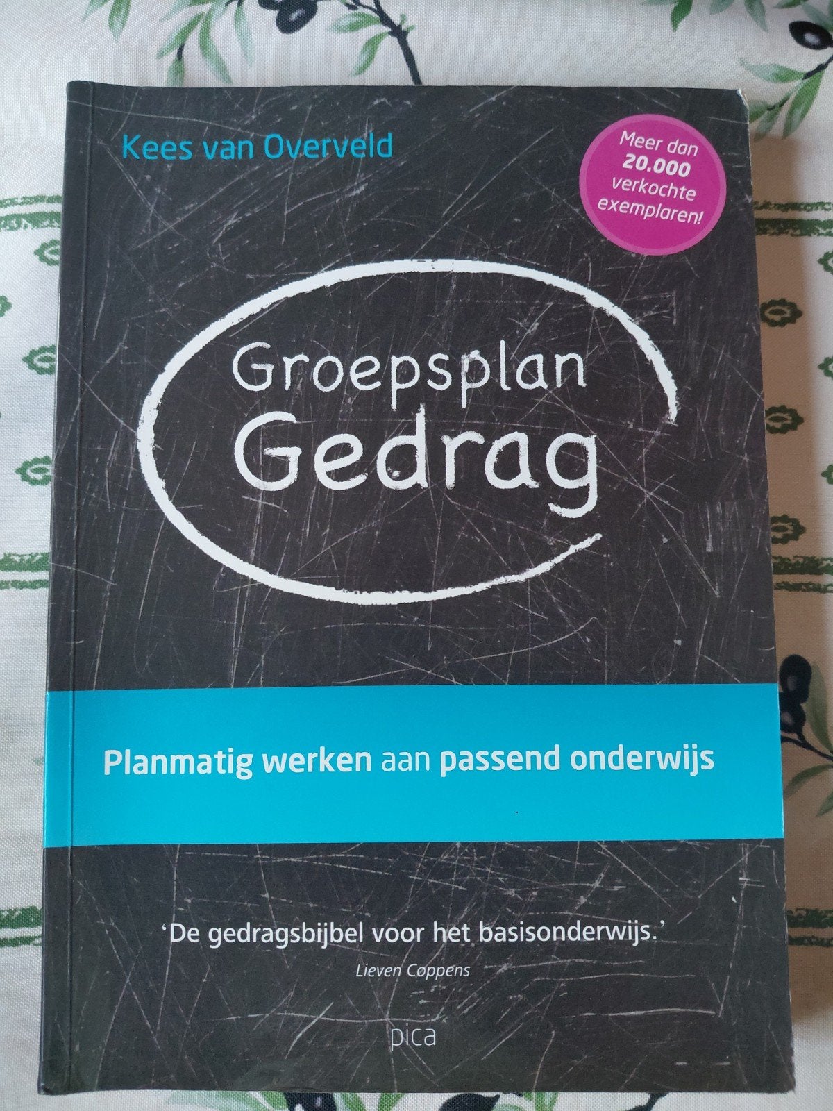 Groepsplan Gedrag - Planmatig werken aan passend onderwijs, Zo goed als nieuw, Gamma, Kees van Overveld, HBO