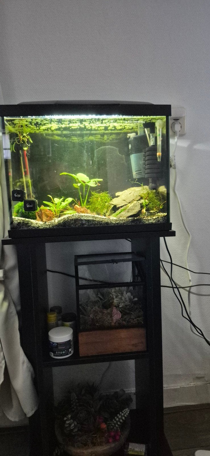 aquarium met kast merk superfish, Ophalen, Inclusief toebehoren, Gebruikt, Aquariummeubel