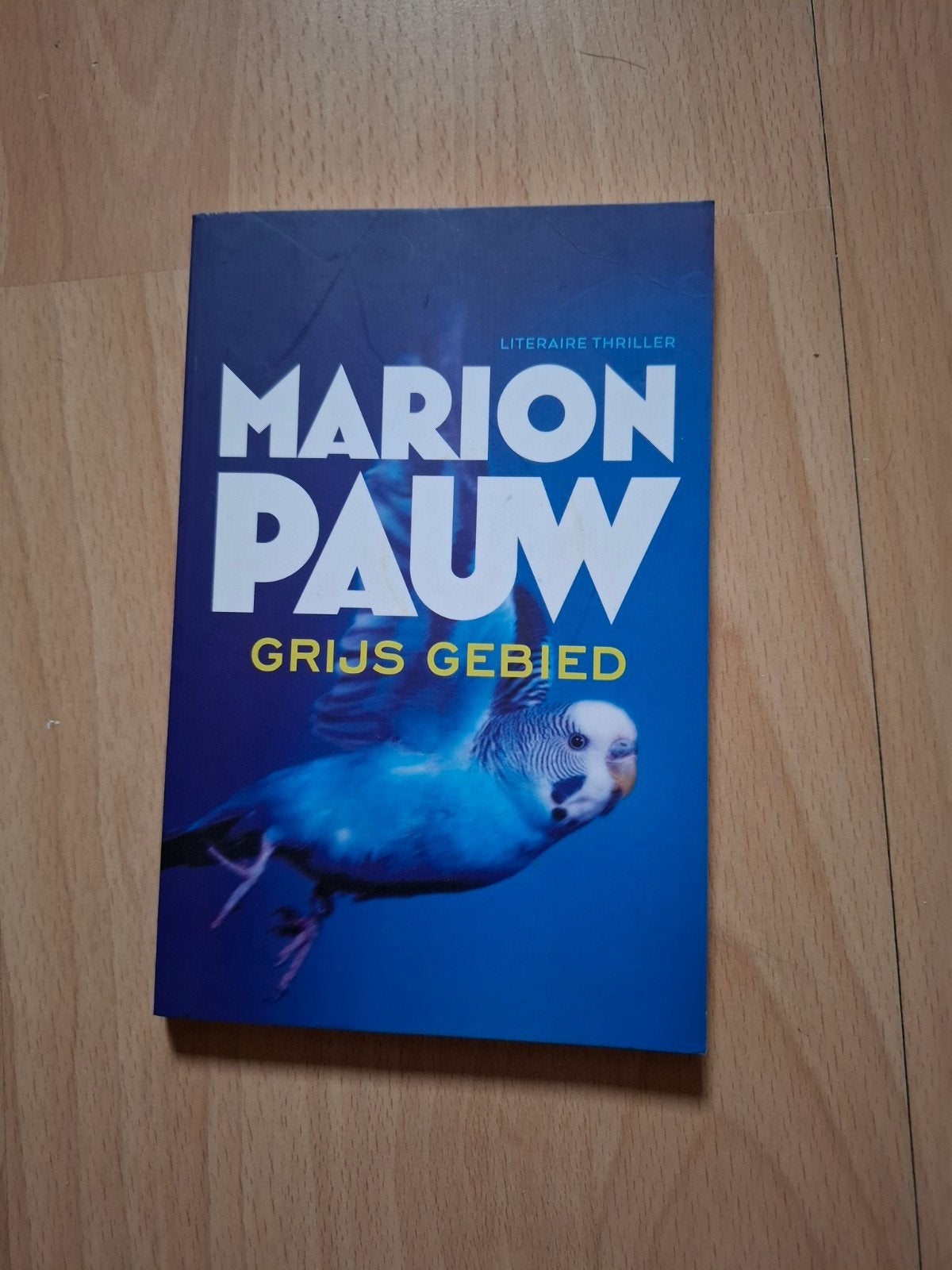 Marion pauw Grijs gebied, Ophalen of Verzenden, 1800 tot 2000, Nederland, Landkaart