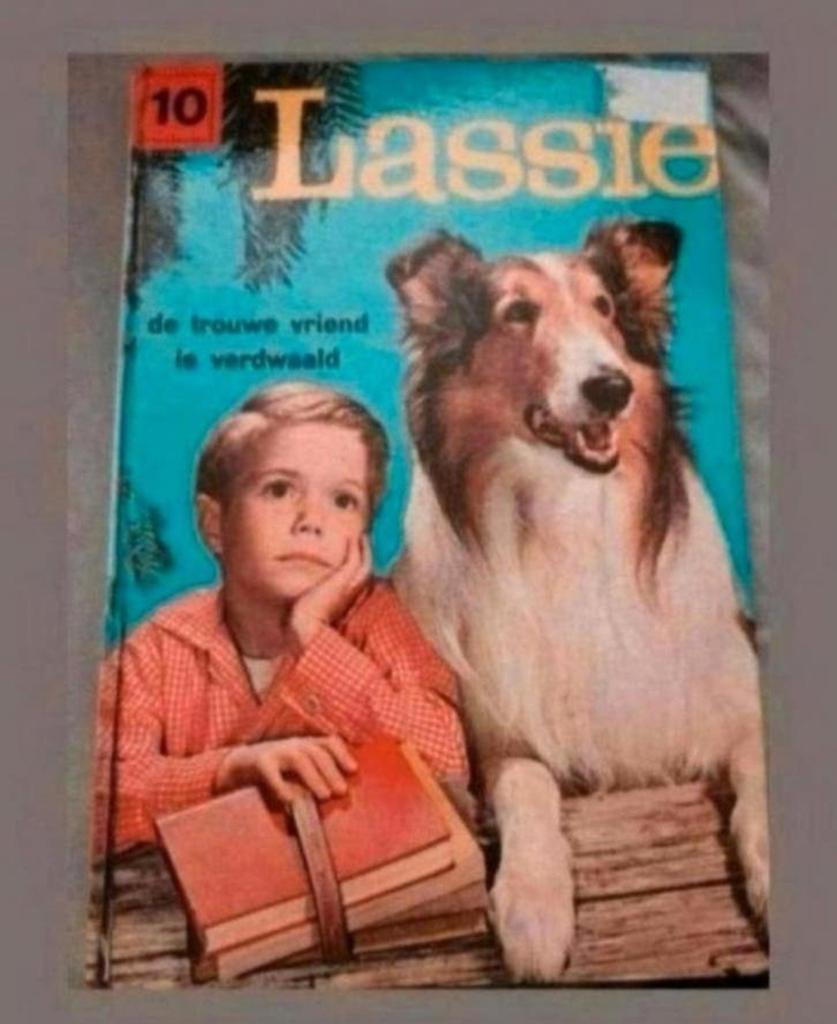 Lassie: De Trouwe Vriend is Verdwaald (Nr. 10), Ophalen of Verzenden, Gelezen, Eric Knight, Fictie algemeen