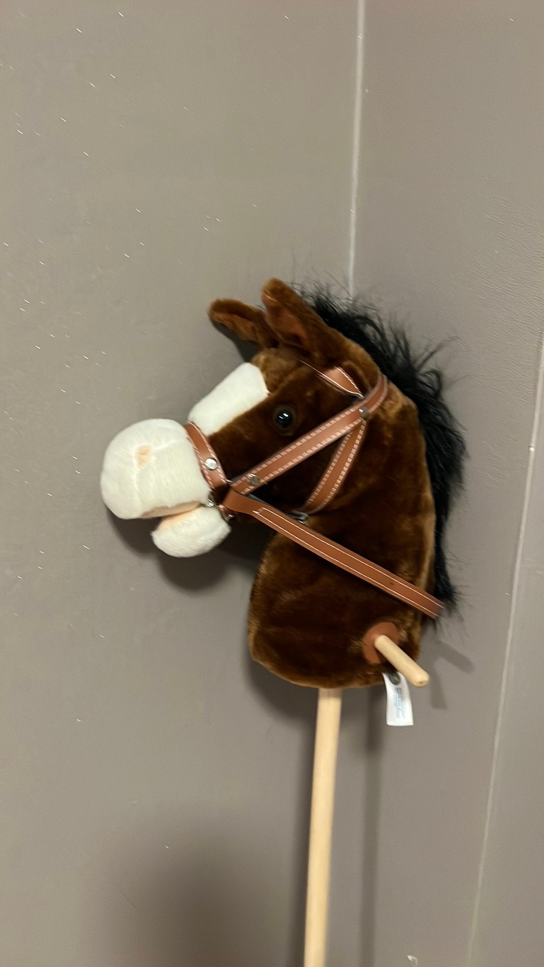 Mooi paard op stok met geluid, Ophalen of Verzenden, Zo goed als nieuw