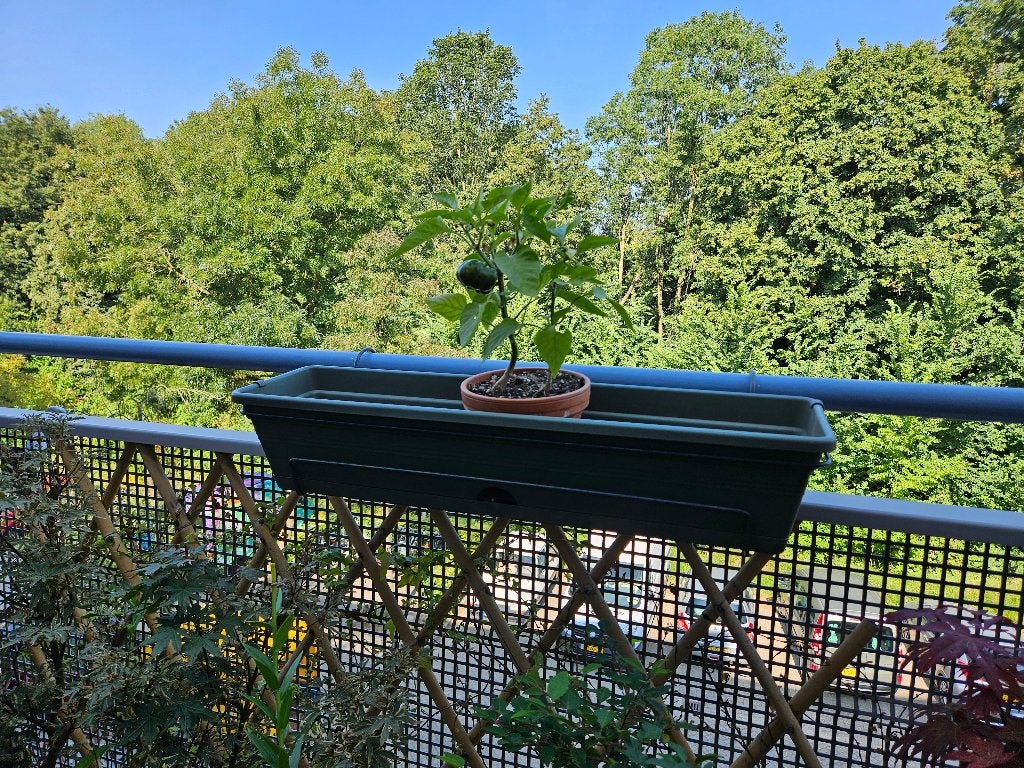 Rechthoekige plantenbakken 2x, Ophalen, Kunststof, Gebruikt, Minder dan 30 cm