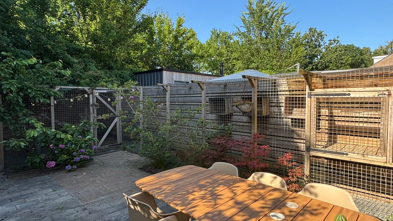 Kattenren, kippenren, vogelhok, hondenren, dierenren, Ophalen, Gebruikt