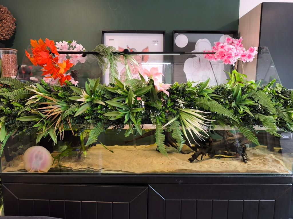 Compleet paludarium, Ophalen, Zo goed als nieuw, Terrarium of Paludarium