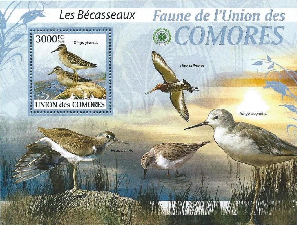 Vogels - Comoren - Mi blok 517 - Postfris, Ophalen of Verzenden, Postfris, Dier of Natuur