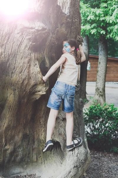 bos bomen natuur te koop gevraagd, Ophalen, Bloeit niet, Volle zon, Overige soorten