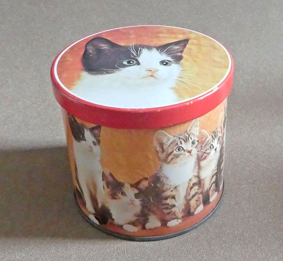 Vintage blikje Blue Bird Engels kat poes kattenblik foto, Verzamelen, Blikken, Ophalen of Verzenden, Gebruikt, Overige, Overige merken