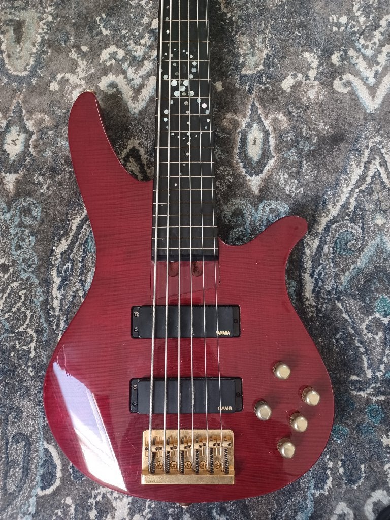 6 snarige fretless bass [LEES BESCHRIJVING VOOR MEER INFO], Muziek en Instrumenten, Ophalen, Gebruikt, Elektrisch, 6-snarig