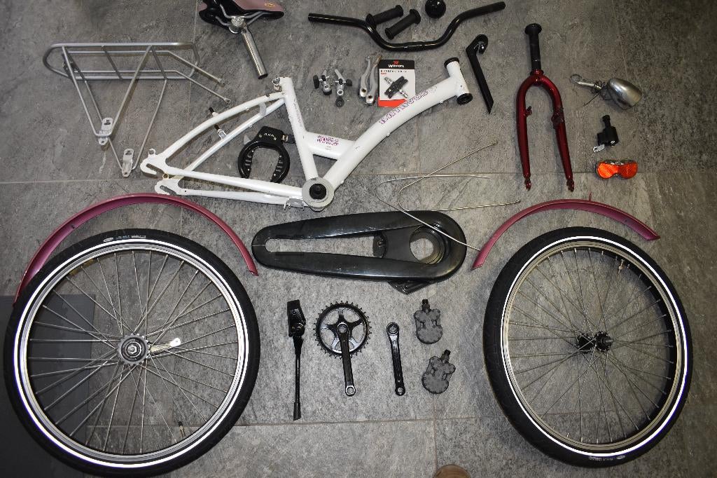 kinder/meisjesfiets BATAVUS 22 inch grote beurt als nieuw, Ophalen, 20 inch of meer, Velgrem, Batavus