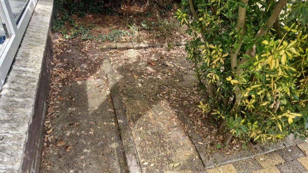 TERAS REINIGING,Hovenierwerk,Verven,Herbestrating,Reparatie, Garantie, Tuinontwerp