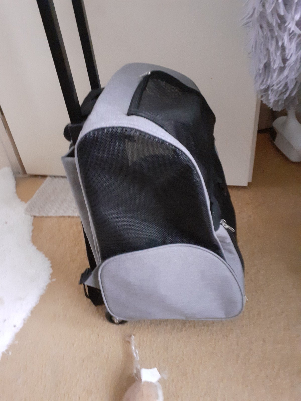 Katten of kleine hondentrolly / rugzak, Ophalen, Nieuw
