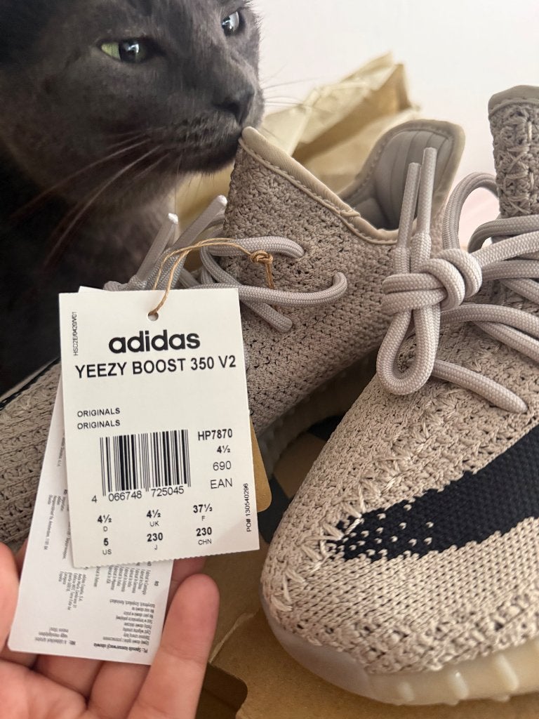 Yeezy Boost 350 V2, Nieuw, Ophalen of Verzenden, Sneakers of Gympen, Grijs