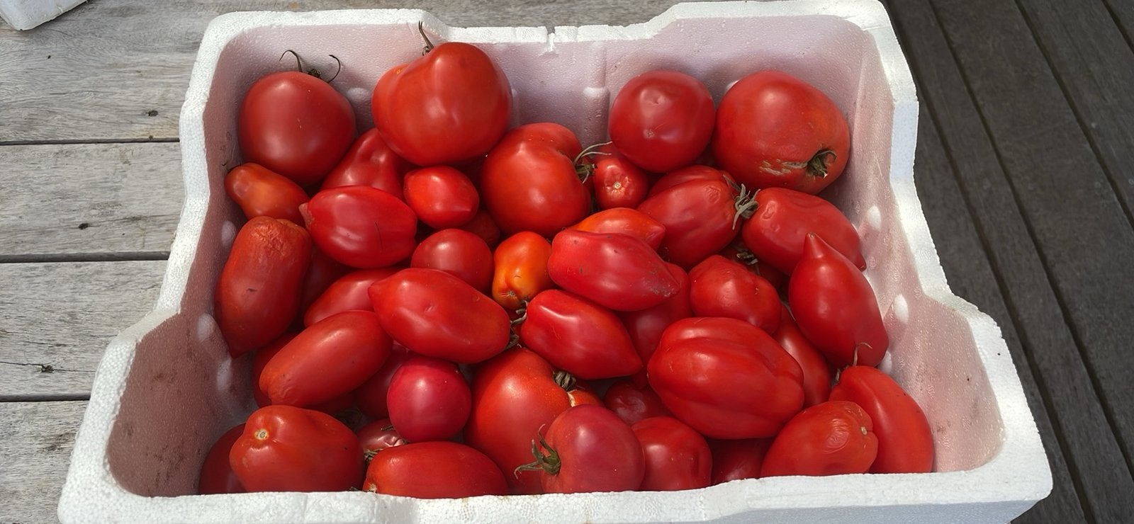 Bio tomaten, Diversen, Ophalen
