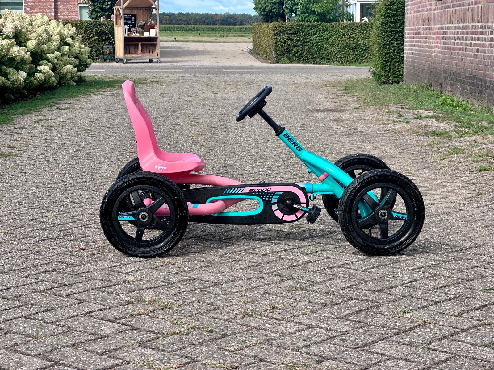 Berg Buddy Lua skelter - Roze groen, Ophalen, Zo goed als nieuw, Berg, Vrijloopautomaat