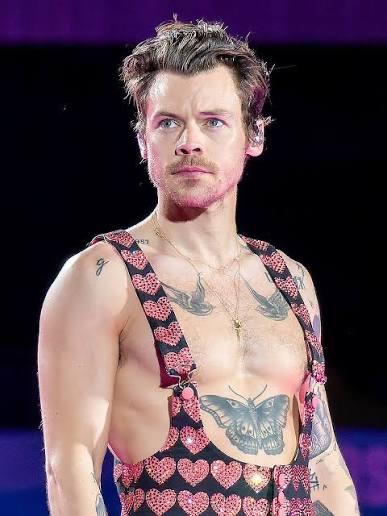 VIP Ticket business loge zaterdag 16 mei Harry Styles, Eén persoon, Mei