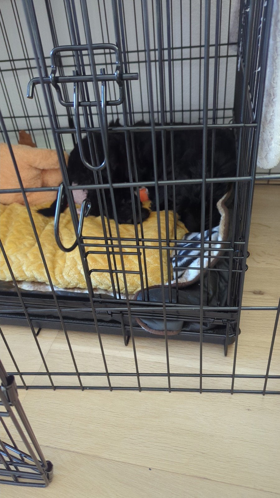 Puppy bench, hoes en ren, Ophalen, Zo goed als nieuw