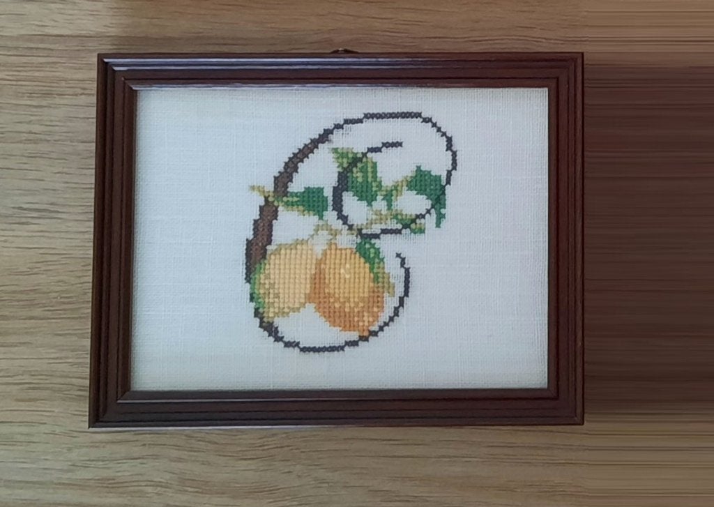 LETTER C VERJAARDAG MAMA OMA MOEDER 14x19 WANDDECO CITROENEN, Ophalen of Verzenden, Nieuw, Handborduren, Overige typen