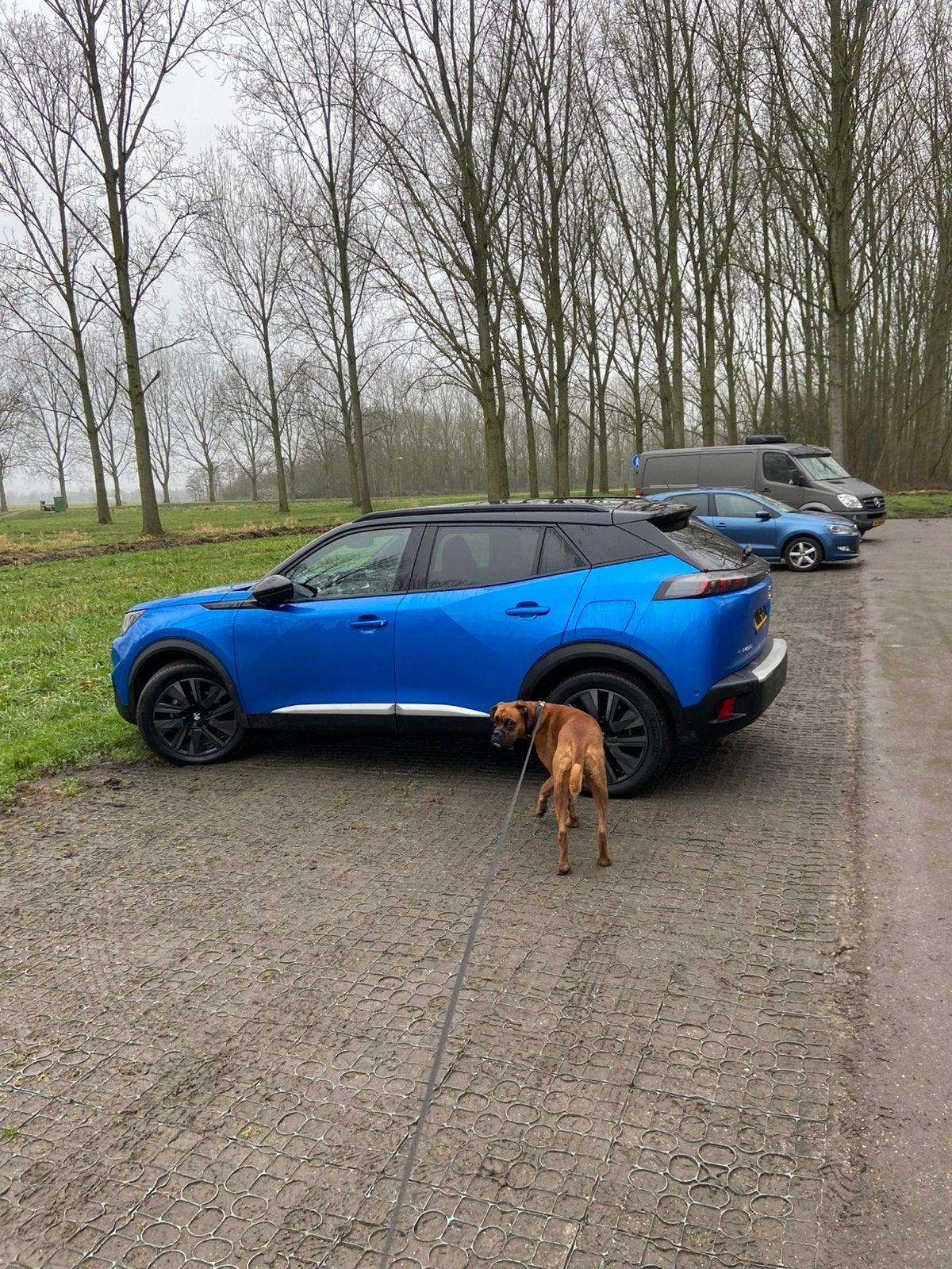 Peugeot 2008 EV 50kWh 136pk 2020 Blauw, 135 pk, Blauw, Leder en Stof, Elektrisch