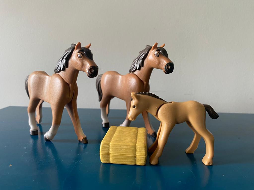 Playmobil paardjes, Ophalen of Verzenden, Gebruikt
