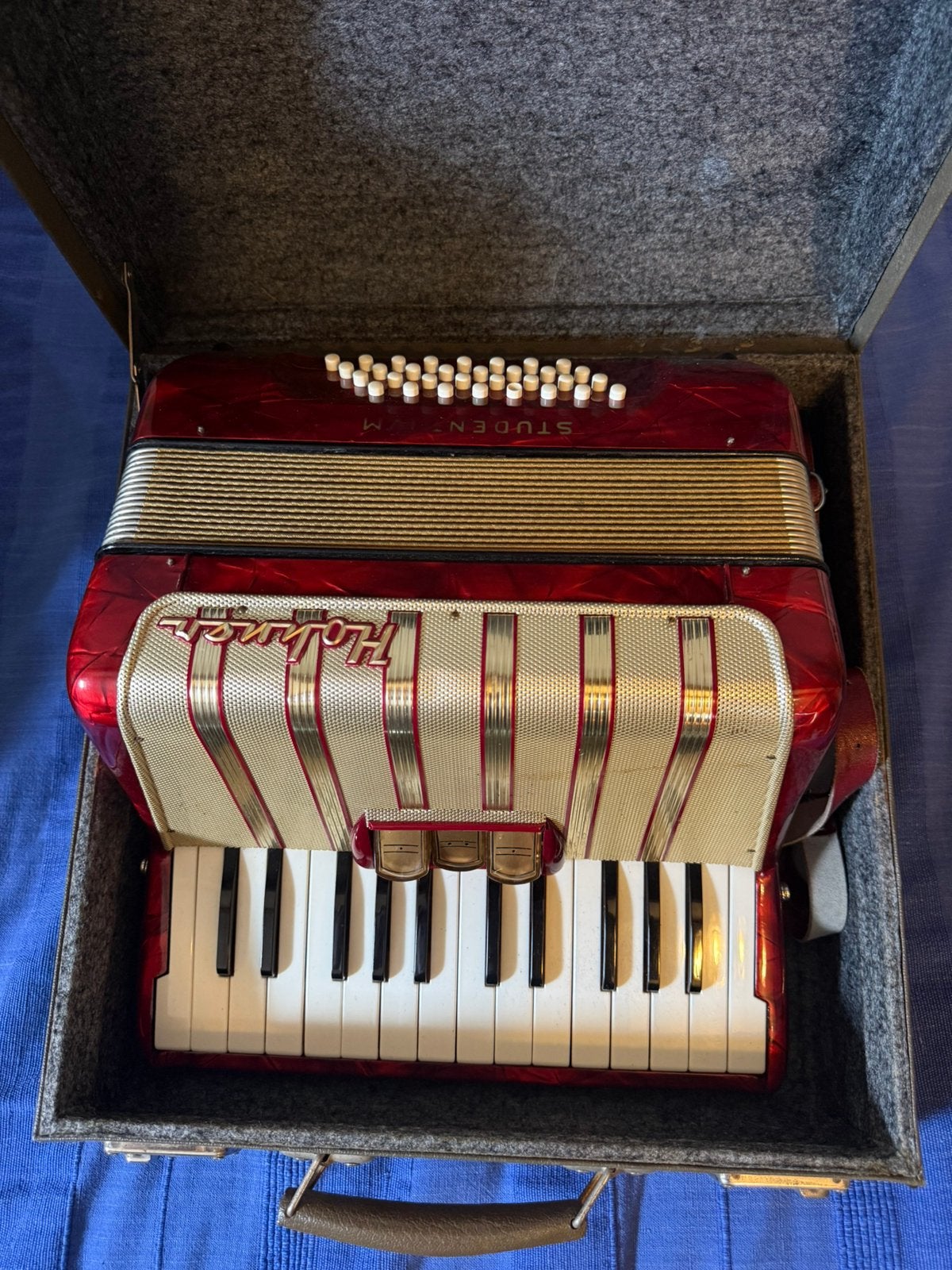Hohner accordeon, zeer mooie inclusief stevige koffer!, Ophalen, Zo goed als nieuw, Overige merken