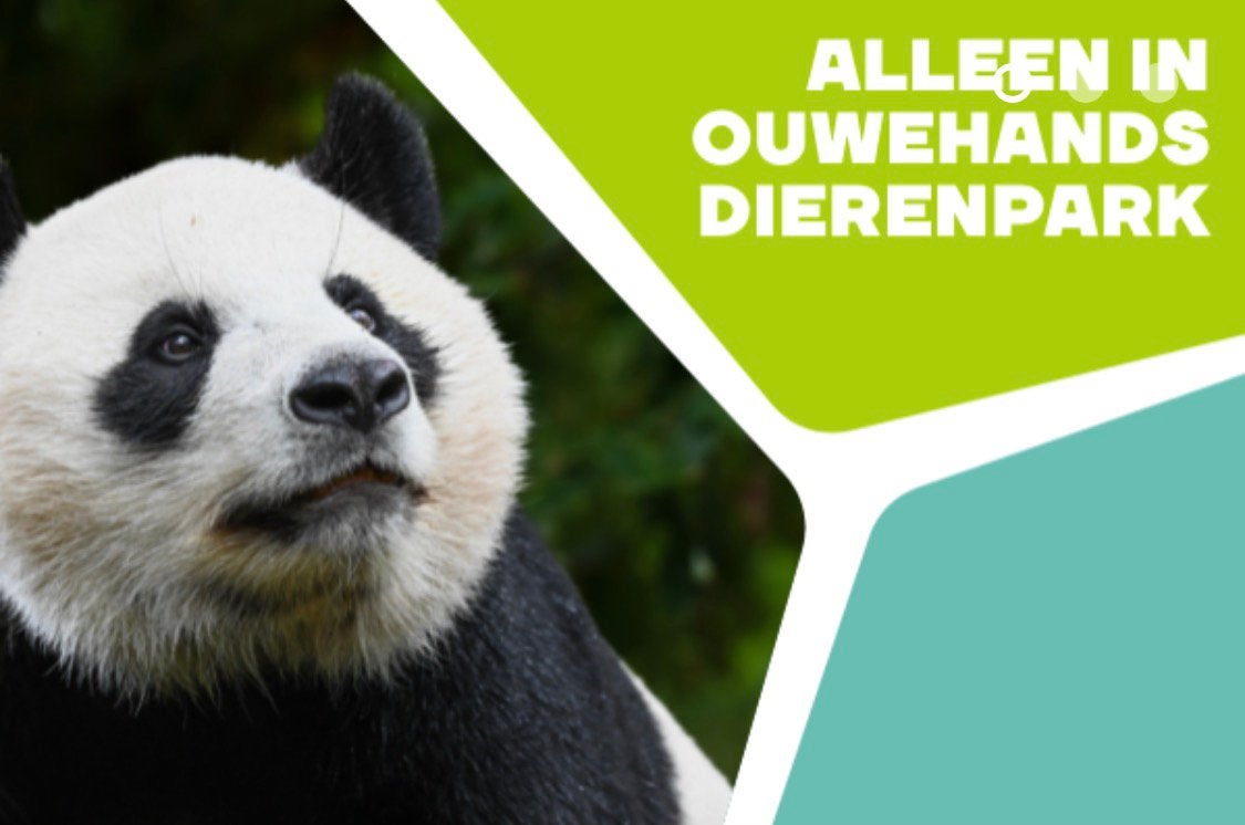 4x toegang Ouwehands dierenpark, Tickets en Kaartjes, Recreatie | Dierentuinen, Drie personen of meer, Ticket of Toegangskaart
