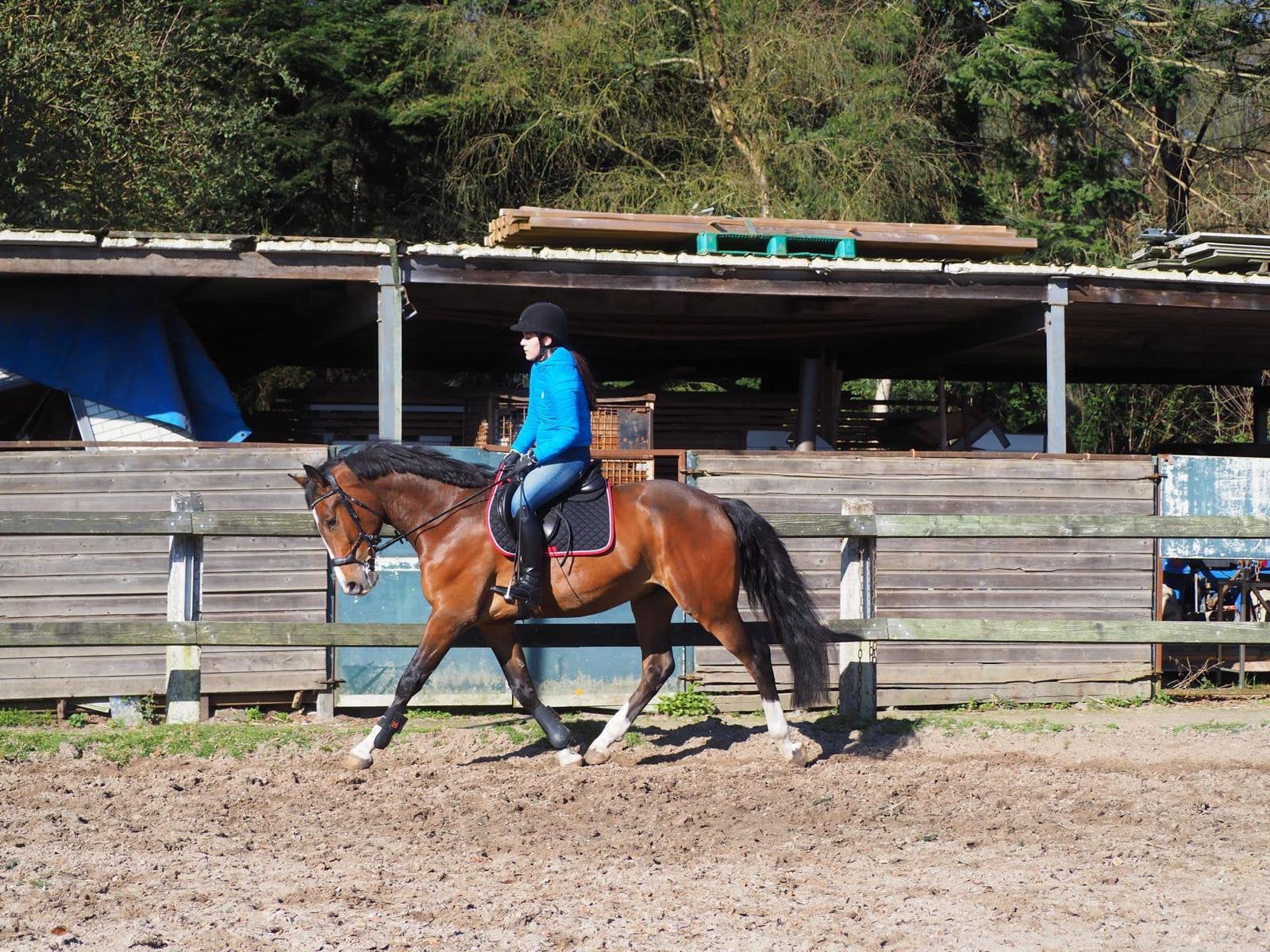 Knappe ruin te lease voor 3 dagen per week, Diensten en Vakmensen